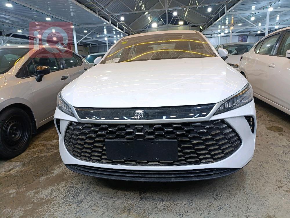 بي واي دي Qin Plus